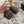 CC 25A Loafer Chocolate Sherpa Suede