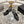 CC 25ss Slingbacks 35mm Black Lambskin & Sheepskin 432606