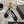 CC 26s Camellia Ballet Flat Black Leather Tweed 736499