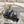 CC Camellia Slip-On Mules Black Sheepskin 735981