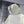 C. Goose Jacket White Polyester 0046