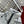 C. Goose Down jacket Grey Silver Polyester 0038