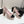 CC 25S Mary Jane Platform 11cm Calfskin Tweed