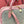 LP Needle Handbag 40.5 Muted Pink Tweed Calfskin 282253