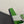 CHYPRE SANDAL GREEN MIX CREAM CALFSKIN
