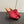 knot mule 95 burgundy lambskin
