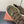 LP 25C Cairn Walk Sneaker Purslane Calfskin and Fabric 210918