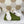 GG JULIO SNEAKER WITH WEB WHITE CANVAS