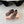 Miu Thong Sandals In Coffee Brown Lambskin With Silver Buckle
