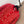 Chanel 2025 Cardigan Red Cashmere 00289