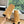 CC 25 High Boot Beige Suede Grosgrain 430340