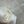 CC Collar Diamond Pattern Shirt White Silk 353059
