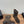Chanel 25 Boot Brown Suede 465612