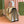 Gucci Ophidia 25cm Bag Beige White Canvas Leather 248494