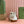 Gucci Bucket Bag Brown White Leather Canvas