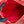 ARCADIE MATELASSÉ BAG 24 IN CERISE RED CALFSKIN GOLD HARDWARE