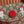 Gucci Dog Print Shoulder Bag White Red Beige Canvas 239661
