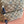Gucci Snake Pattern Backpack Beige mix Brown Blue Calfskin Canvas 244338