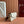 Gucci Ophidia 22cm Bag Beige White Canvas 255219