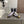 BALLET RUNNER 2.0 IN PURPLE PASTEL MIX BLACK SUEDE AND LYCRA FABRIC