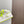 HIGH-TOP SNEAKERS IN WHITE MIX NEON GREEN CALFSKIN