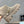 Prada 25 Boot Beige Suede 501670