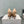 Jimmy Choo Belinda 85mm Heels Nude Patent Leather Crystal Studded Heels 540683.