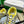 BV 26s Orbit Flash Sneaker Sliver Yellow Mesh Leather 735918