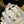CC FW 25/26 Sneakers 40mm White Fabric Calfskin 500182