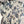 CD Butterfly Dress Blue White Cotton