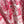 CD Shirt Red Cotton