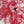 CD Shirt Red Cotton