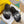 FENDI ROMA SLIDE IN BLACK GRAINED CALFSKIN WITH WHITE LOGO