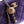 CC 26C Flap Bag 20 Purple Velvet