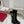 Viv High Boots Black Cowhide 365204