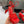 Alaila High Sandal 115mm In Red Mesh Fabric 954858