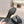 mule sandal black lace fabric