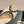 mule sandal 75 white lace fabric beige calfskin
