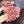 CC 25C Mules Pink Suede Strass