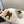 CL Elena Mule in Shearling 10mm Beige Brown Wool 435859