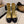 CC 2025 Lace-up Combat Boot Beige Black Leather 548116