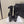 CC 26 Ankle Boot With Buckle Black Cowhide 589113