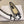 CC 26 Shearling Ballet Flat White Beige Cowhide Wool 588919