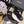 CC 26 Boot With Lug Sole Black Suede Leather 588681