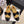 CC 26 Fur-lined Loafer With Bow Black Beige Wool Leather 588824
