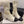 CC 26 Short Boot With Gold-tone Ankle Chain White Black Lambskin 588820
