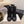 CC 26 Quilted Lace-up Boot Black Suede Calfskin 588816