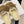 CC 26 Shearling Slip-on Loafer Tan White Suede Wool 588717
