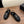 CC 26s Slingback Loafers Black Leather Shearling 122678