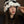 BUCKET HAT IN BLACK MIX WHITE FLEECE 412798